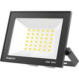 Braytron LED Reflektor 30W Crni 6500K IP65 BT66-03031 Cene