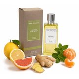 Angel Schlesser Les Eaux D'Un Instant Ginger Cologne Toaletna voda unisex 100 ml | Shoptok.si