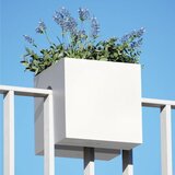rephorm Posoda za rastline "Steckling Cube" - Bela Cene