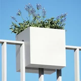 rephorm Posoda za rastline "Steckling Cube" - Bela