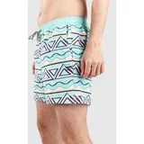 Fiesta Stripe HH Boardshorts mint green