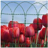  Mreža Floritor 65 cm 10/1 | Eponuda.ba