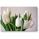  Slike na platnu CVETJE TULIPANI KV108E11 (moderne slike na) | Shoptok.si