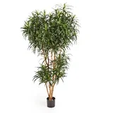 Veštačka dracena Anita h210 zelena