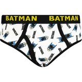 Licensed Boys briefs Batman 3P Frogies | Eponuda.ba