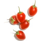 Wella Professionals Invigo Nutri-Enrich šampon za suhu i oštećenu kosu 1000 ml | shoptok.hr