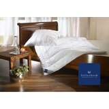Billerbeck VZGLAVNIK Belair 40/80 cm | Shoptok.si