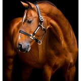 Horseware Ireland Oglavka Signature Leather, Black - Cob Cene