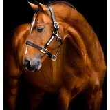 Oglavka Signature Leather, Black - Cob