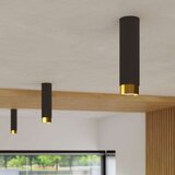  Stropna svetilka NERO 12,5 črna/zlata, (21626871) | Shoptok.si