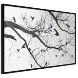  Poster - Twitter II 45x30 Cijene