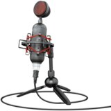 Trust mikrofon GXT244 Buzz (23466) | shoptok.hr