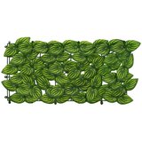  Zaslon za balkon s lišćem Zelena i žuta 200 x 100 cm | shoptok.hr