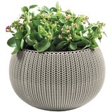 Keter COZY M POSODA ZA ROŽE S SETOM ZA OBEŠANJE | Shoptok.si