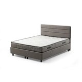 Hanah home Bračni krevet Motya Set 140 x 200 Light Grey Cene