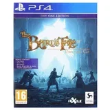 DEEP SILVER The Bards Tale IV: Directors Cut Day One Edition (PS4)