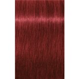 Schwarzkopf IGORA Royal boja za kosu nijansa 6-88 Dark Blonde Red Extra 60 ml | shoptok.hr