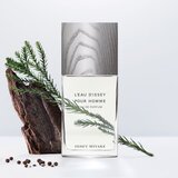 Issey Miyake L'Eau d'Issey Pour Homme parfumska voda za moške 75 ml | Shoptok.si