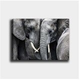 Wallity slika 751010506_70100, 70x100cm | Eponuda.com