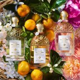 Guerlain Aqua Allegoria Rosa Rossa Harvest toaletna voda za žene limitirana serija 125 ml | shoptok.hr
