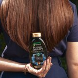 Garnier Botanic Therapy Magnetic Charcoal & Black Seed Oil šampon za mastne lase 250 ml za ženske Cene