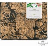 Magic Garden Seeds Bio redkosti tobak - set semen cene