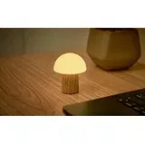 Gingko LED stolna lampa od čvrste jeseni s mogućnosti zatamnjivanja u prirodnoj boji (visina 7 cm) Alice –