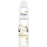 Dove Dezodorans Go Fresh, Kokos i Jasminov cvet, 250ml Cene