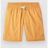 Vert 14 Kids Boardshorts nugget