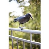 Esschert Design Vrtno strašilo vrana Esschert (12,9 x 36,2 x 22,2 cm, jeklo) | Shoptok.si