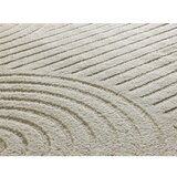 Universal Kremno bela preproga 120x170 cm Verona – | Shoptok.si