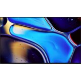 Sony TV K55XR8APAEP BRAVIA 8 / OLED | shoptok.hr