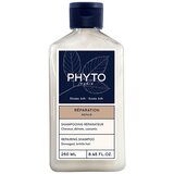 Phyto Repair Repairing shampoo obnavljajući šampon za oštećenu kosu 250 ml Phyto Repair Repairing shampoo obnavljajući šampon za oštećenu kosu 250 ml Slike