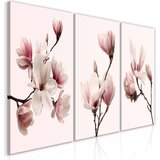  Slika - Spring Magnolias (3 Parts) 60x30 | shoptok.hr
