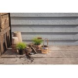 Esschert Design Zalivalka - zlata | Shoptok.si