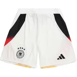 Adidas Športne hlače 'DFB 24' rumena / rdeča / črna / bela