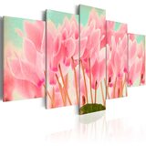  Slika - Cyclamen 200x100 | shoptok.hr