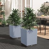 Maison Chic Visoko korito - cvetlična korita - Cvetlični Lonec 2 kosa svetlo sivo 30x30x37 cm polipropilen, (21789448) | Shoptok.si