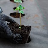  Protukorovna agrotekstilna folija, 70 g/m², 3,2 × 10 m | shoptok.hr