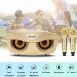  ZVUČNIK KARAOKE SD-306 Bluetooth + 2 MIKROFONA | Eponuda.ba
