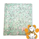 pad Reusable Light Green 40x50cm, Višekratna Prostirka Za Štence, Zelena