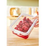 Rotho Organizator hladnjaka CAUMA kutija 1,15 L | shoptok.hr