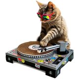 Dj praskalnik za mačke | Shoptok.si