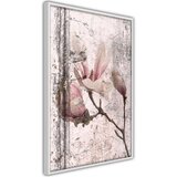  Poster - Queen of Spring Flowers III 30x45 | shoptok.hr