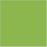  PAPIR U BOJI B1 200G BRISTOL COLOR PK10 CONNECT 230 PISTACIO | Shoptok.si