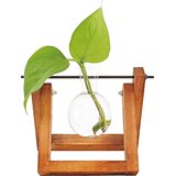 Winkee Hydro Vase Lilly - 1 kos Cene