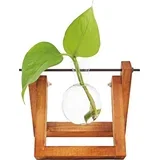 Hydro Vase Lilly - 1 kos