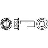 Toolcraft TO-5444445 vijak s šesterokutnom glavom M12 40 mm unutarnji šesterostrani 88912 100 St. | shoptok.hr