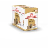 Royal_Canin Adult Shih Tzu - pašteta 12 x 85 g Cene