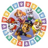 Amscan TANJIRICI 23CM PAW PATROL | Eponuda.ba